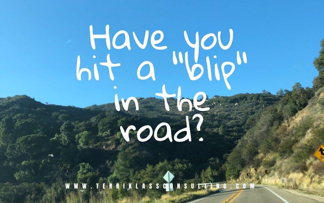 Coaching Insights: Has Your Leadership Hit A “Blip” In The Road?