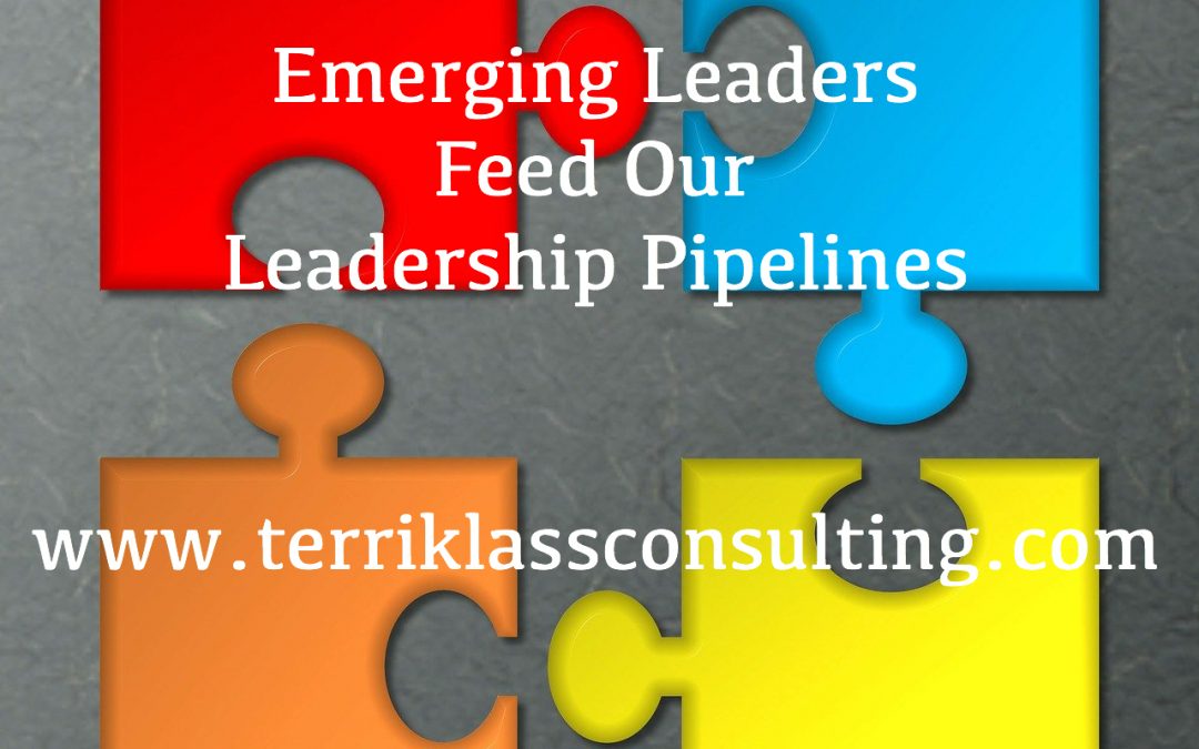 Four Ways To Develop Emerging Leaders