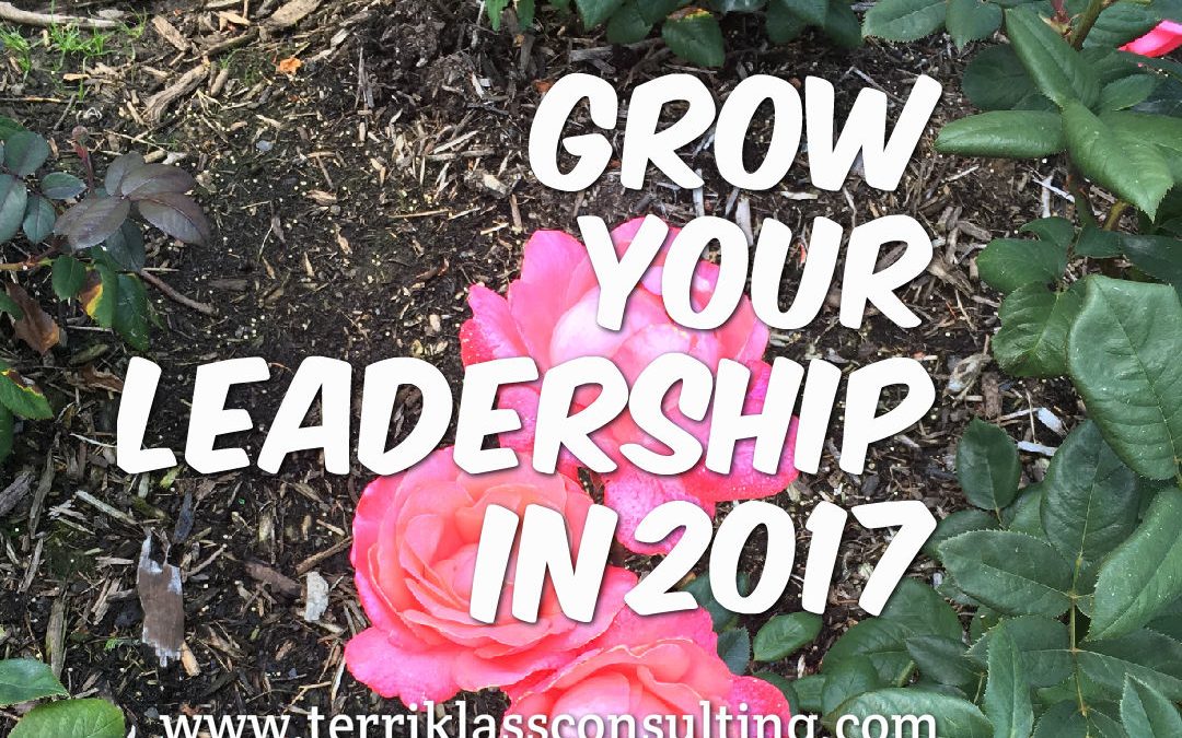 How Will You Lead In 2017?