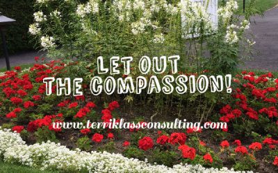 Is Compassion Part Of Your Leadership Strategy?