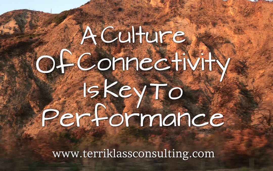 Six Secrets To A Culture of Connectivity