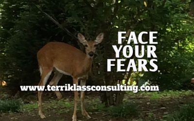 Face Your Fears Straight On