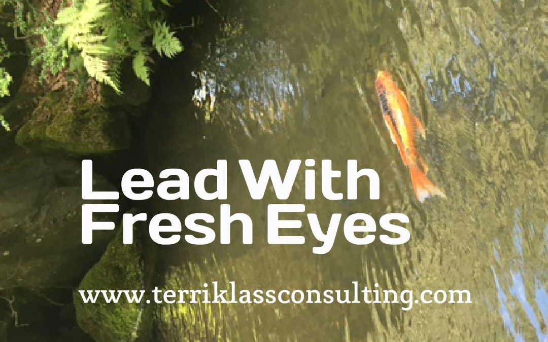 Seven Ways To Lead With Fresh Eyes