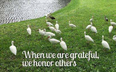 What Is Leading With Gratitude?