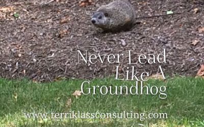 Why Leaders Must Resist Hibernation
