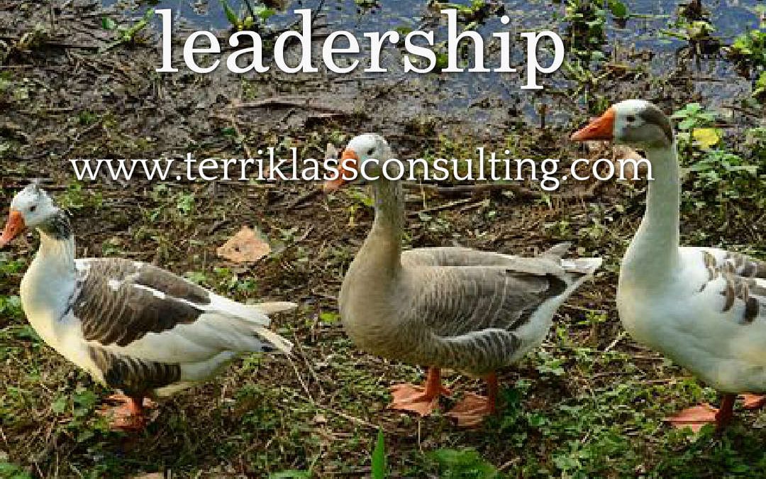 Five Heart Based Leadership Tactics