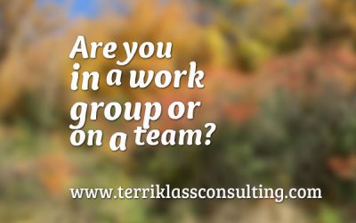 Language Of A High Performing Team