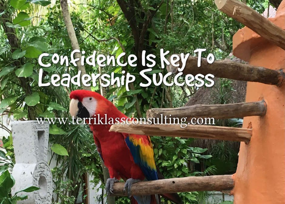 Leadership Confidence-It’s Everything