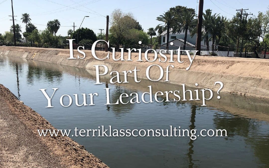 Five Strategies To Grow Curiosity In Leaders