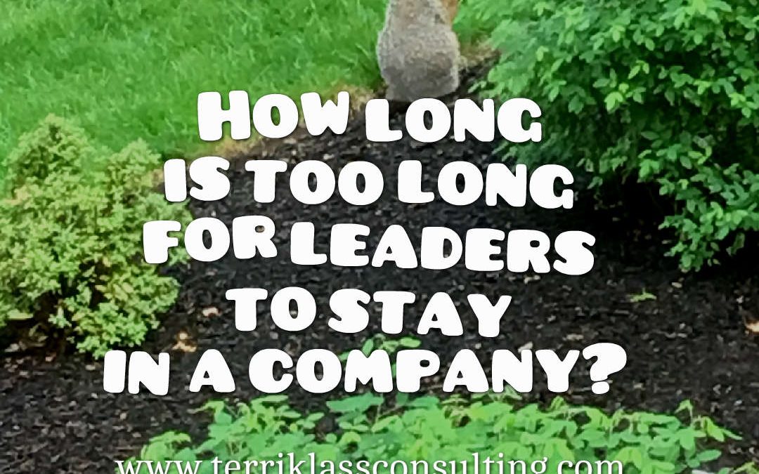 How Long Should Leaders Stay With One Company?