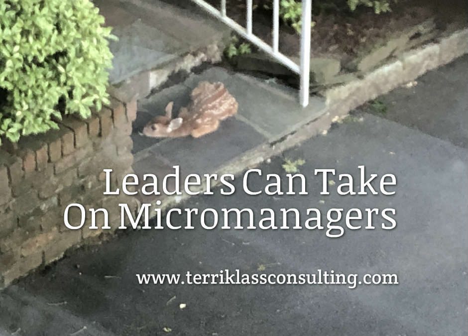 Five Leadership Maneuvers To Deal With A Micromanager