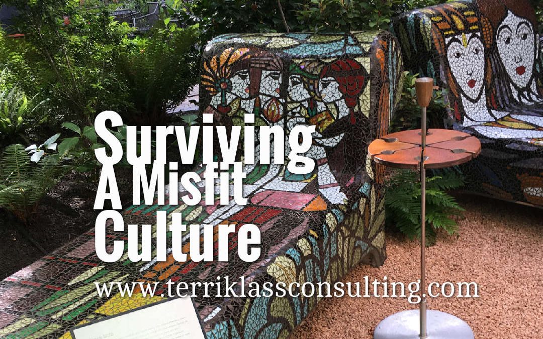 Five Ways Leaders Survive A Culture Misfit