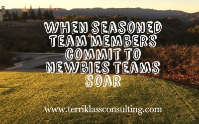 Are Seasoned Team Members Colliding With Newbies?