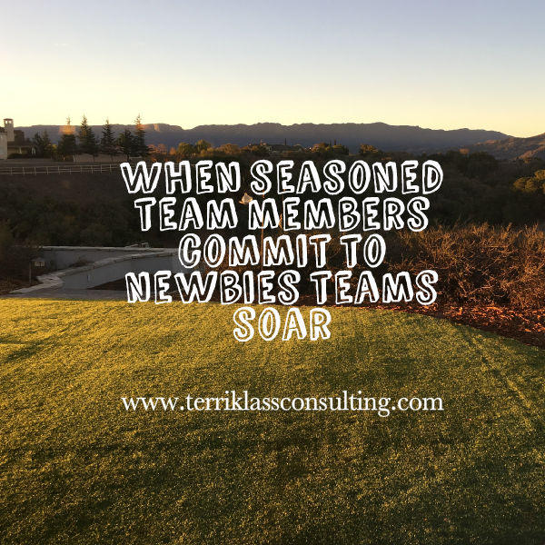 Are Seasoned Team Members Colliding With Newbies?