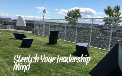 Five Tactics To Stretch Your Leadership Mind