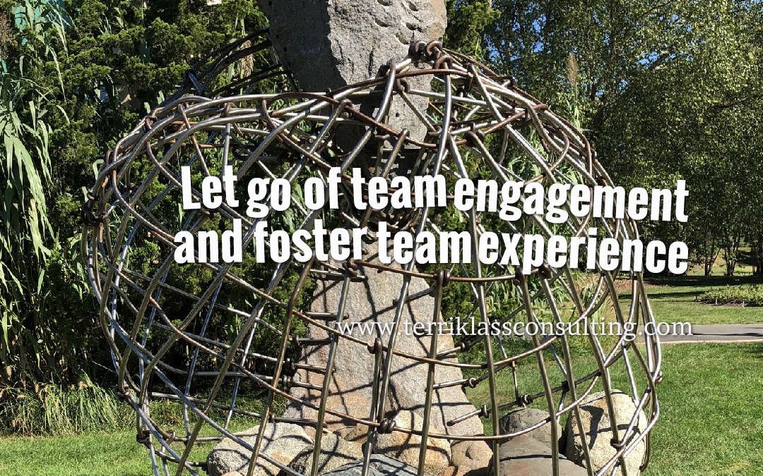 Moving From Team Engagement to Team Experience