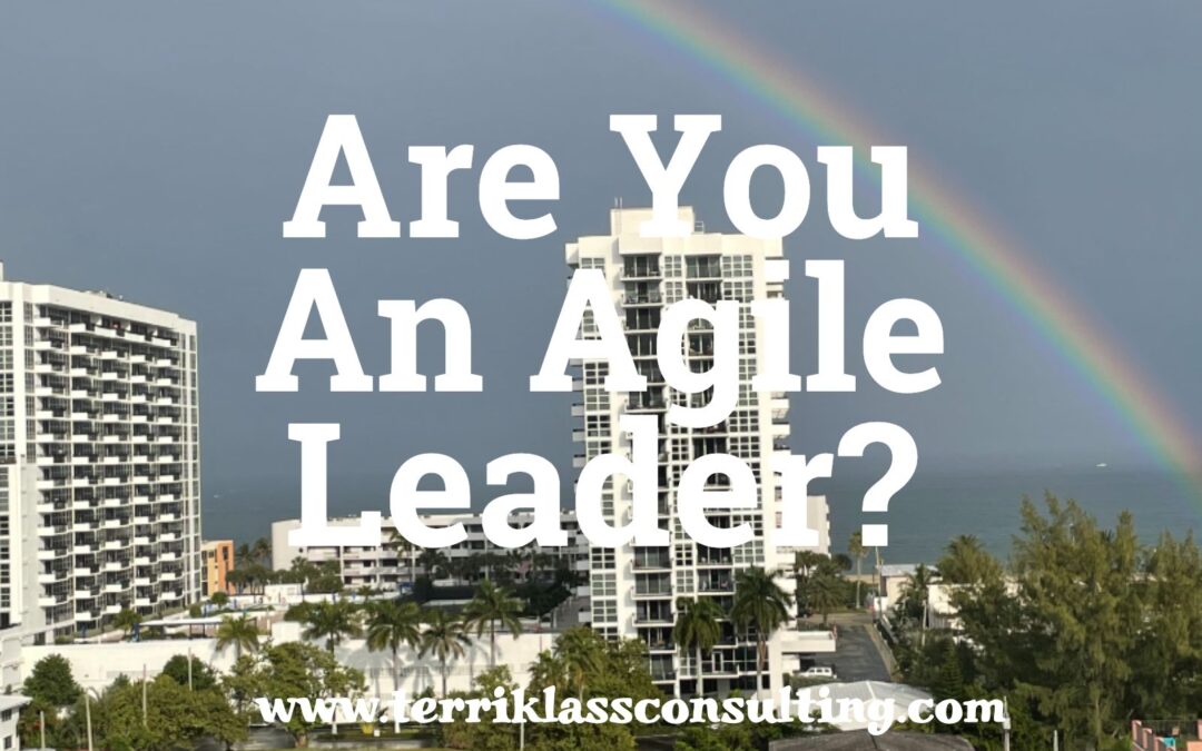 Five Pivots To Becoming An Agile Leader