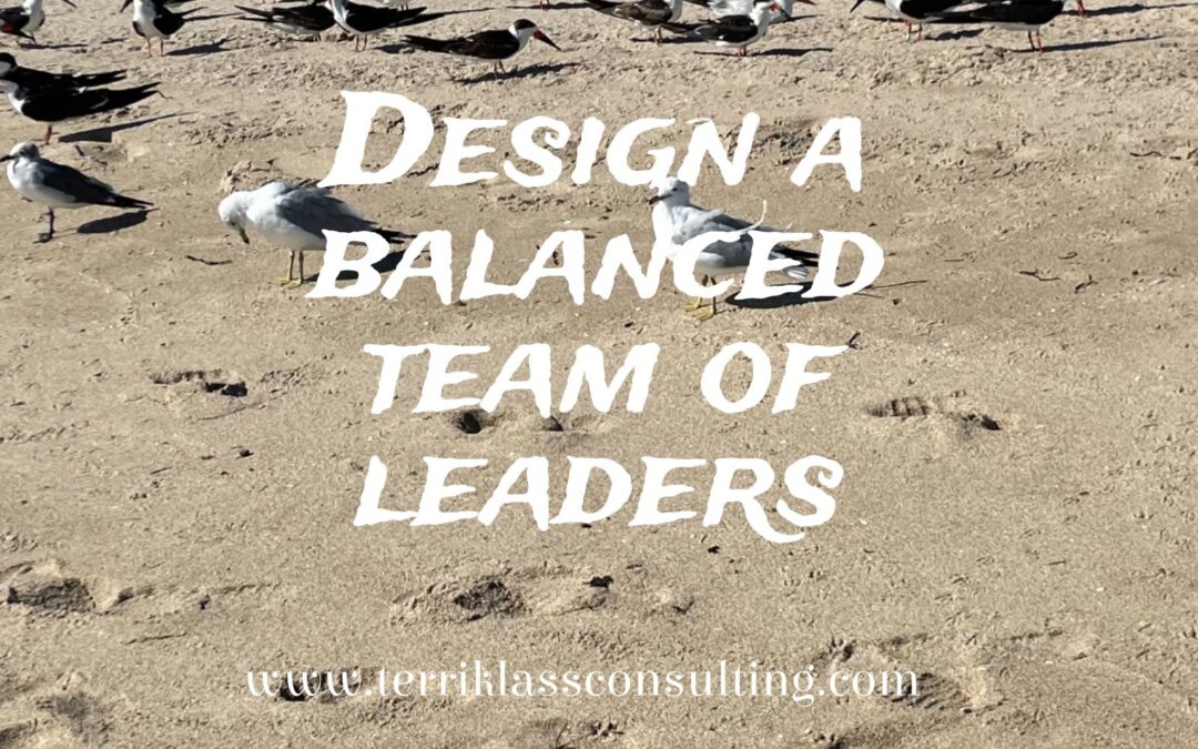 What Does A Balanced Team of Leaders Look Like?