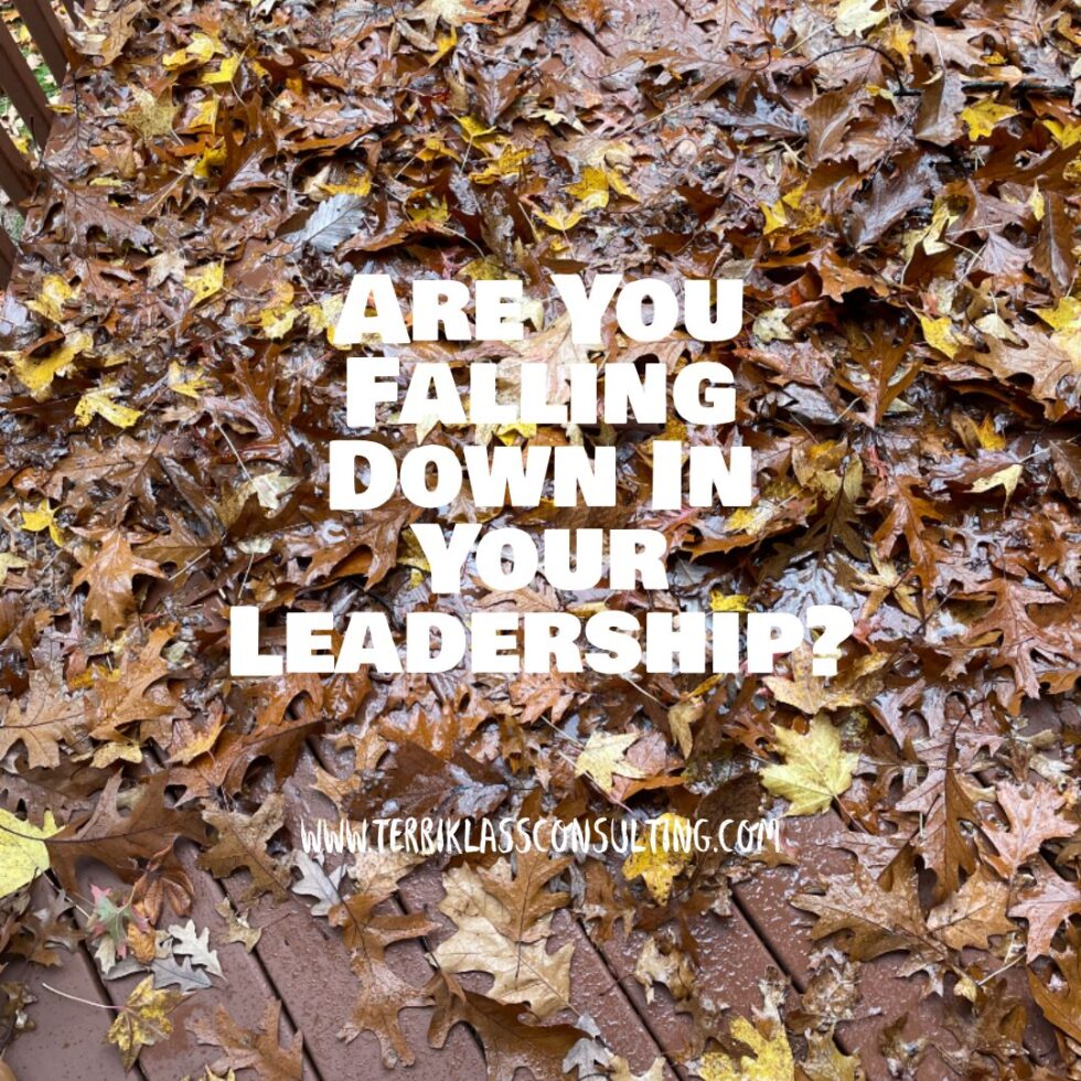 Team Falling Short Six Ways A Leader May Be Falling Down On Their Team | Terri Klass ...