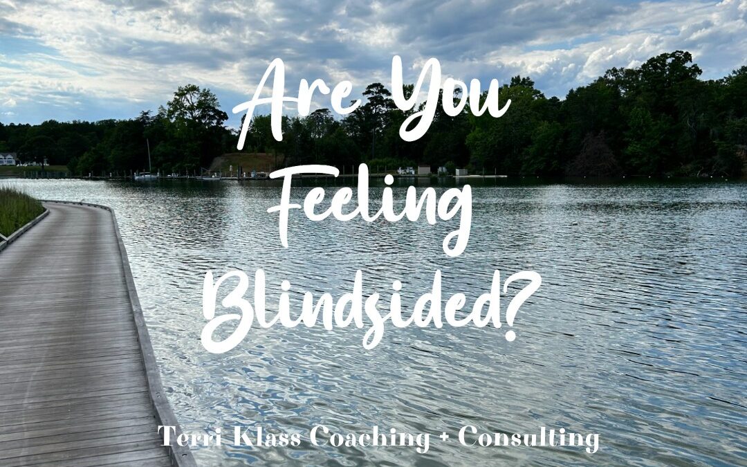 Feeling Blindsided? Try These Six Leadership Shifts