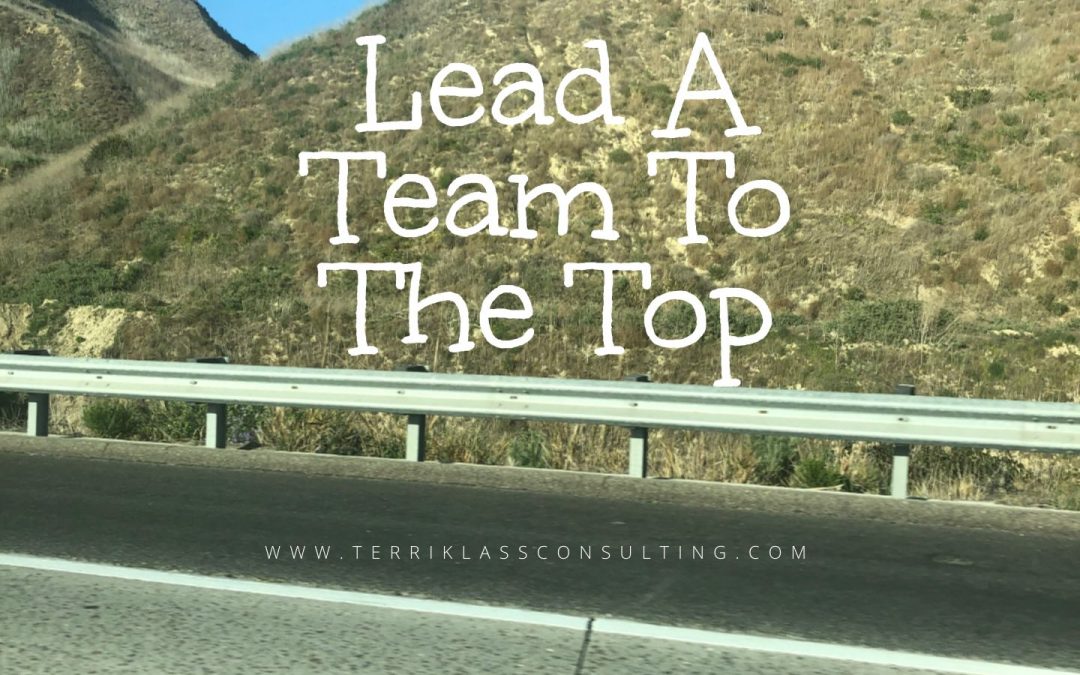 Five Steps To Lead A Team To Its Highest Potential