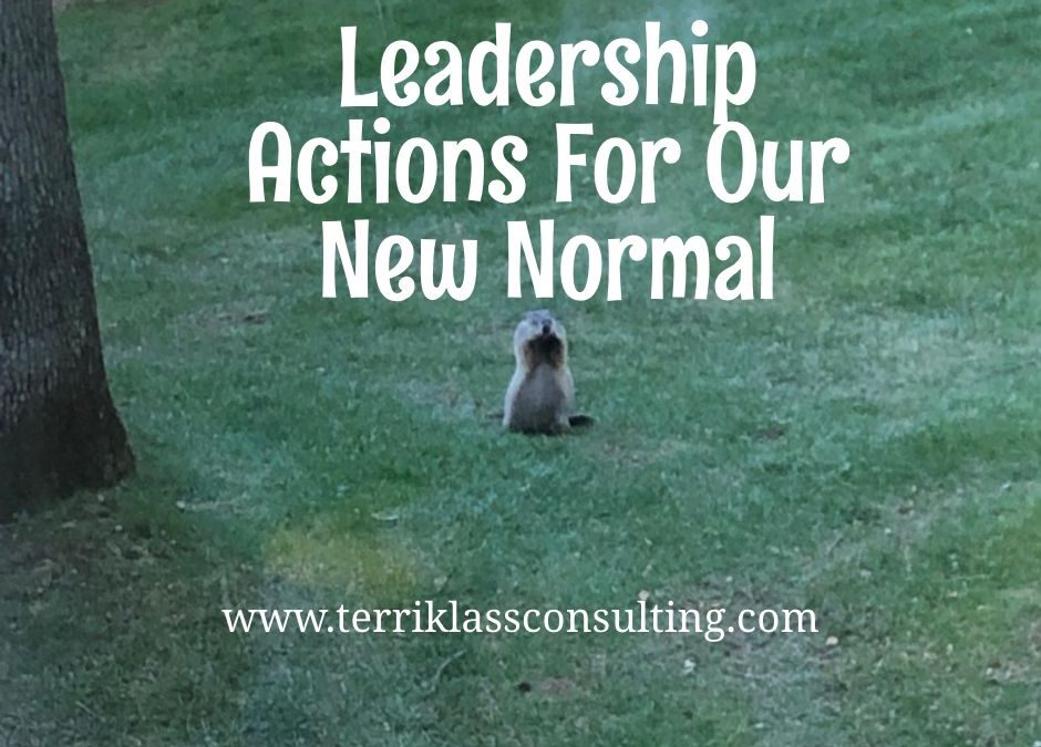 Four Leadership Strategies For The New Normal