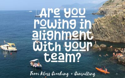 Are You Rowing In A Different Direction Than Your Team?