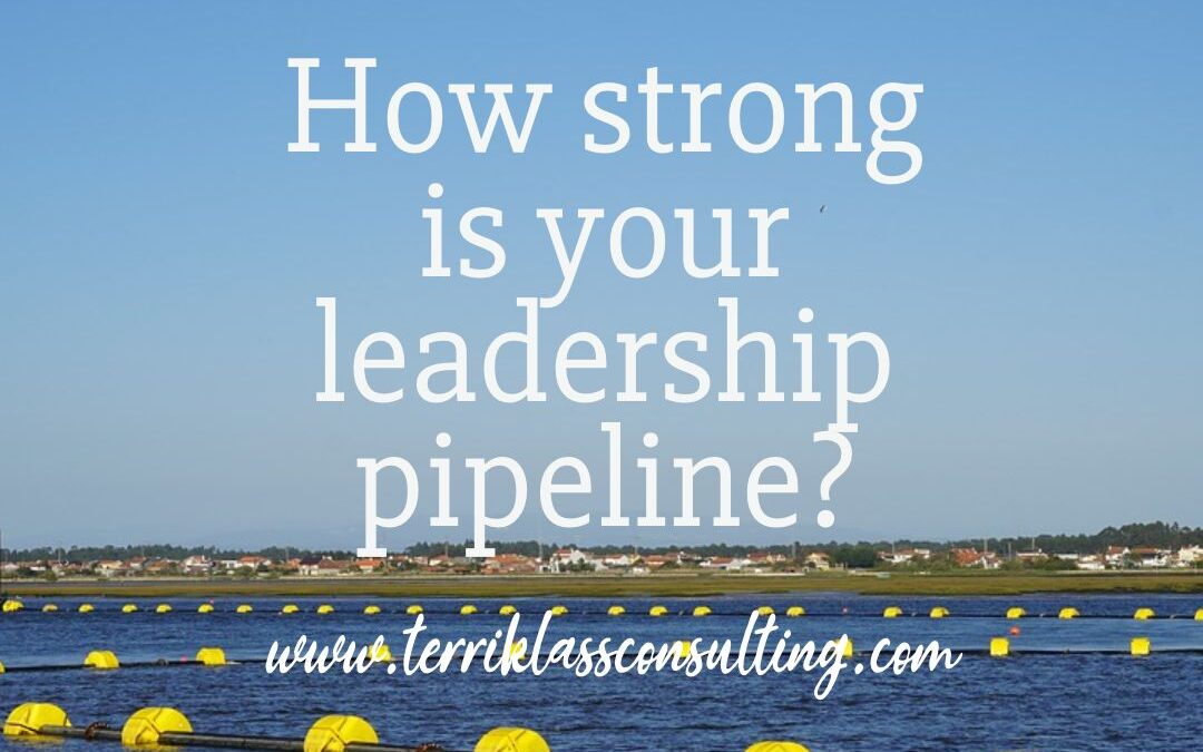 Five Commitments For Developing A Leadership Pipeline