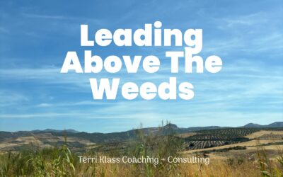 Leading Above The Weeds