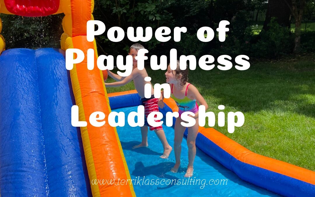 Five Reasons To Add Playfulness To Your Leadership