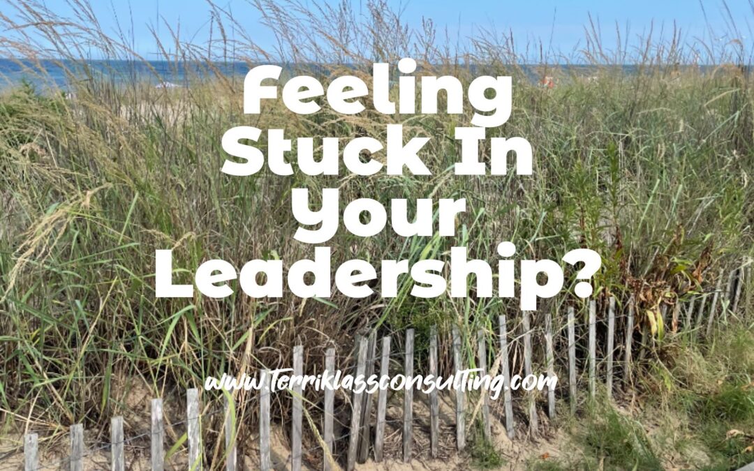 Five Powerful Actions When Leaders Feel Stuck In A Ditch