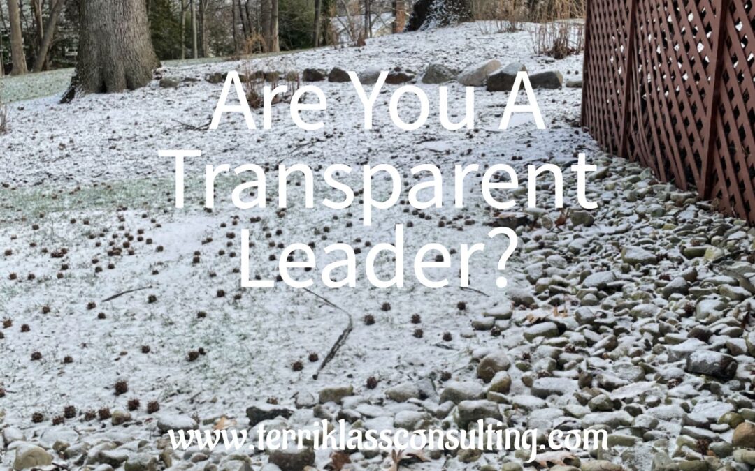 Can A Leader Be Too Transparent?